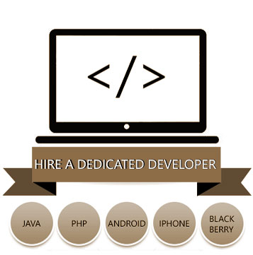 Hire a Dedicated Web Developer